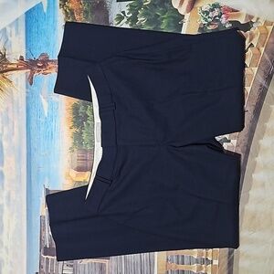 Banana Republic Pleated Pants Size 12P Petite